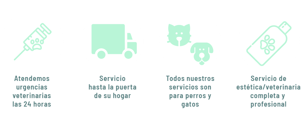 Imagen de nuestros servicios.