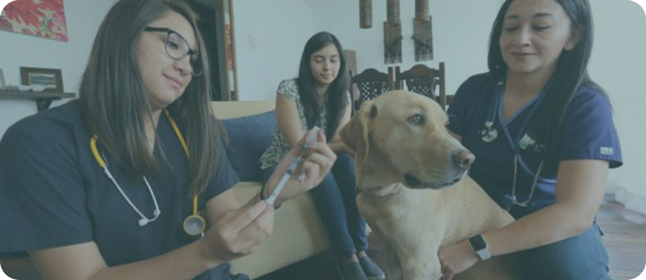 Imagen de nuestro equipo.